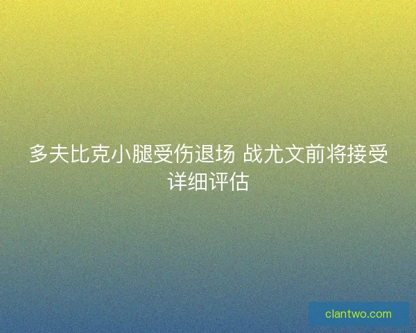 多夫比克小腿受伤退场 战尤文前将接受详细评估